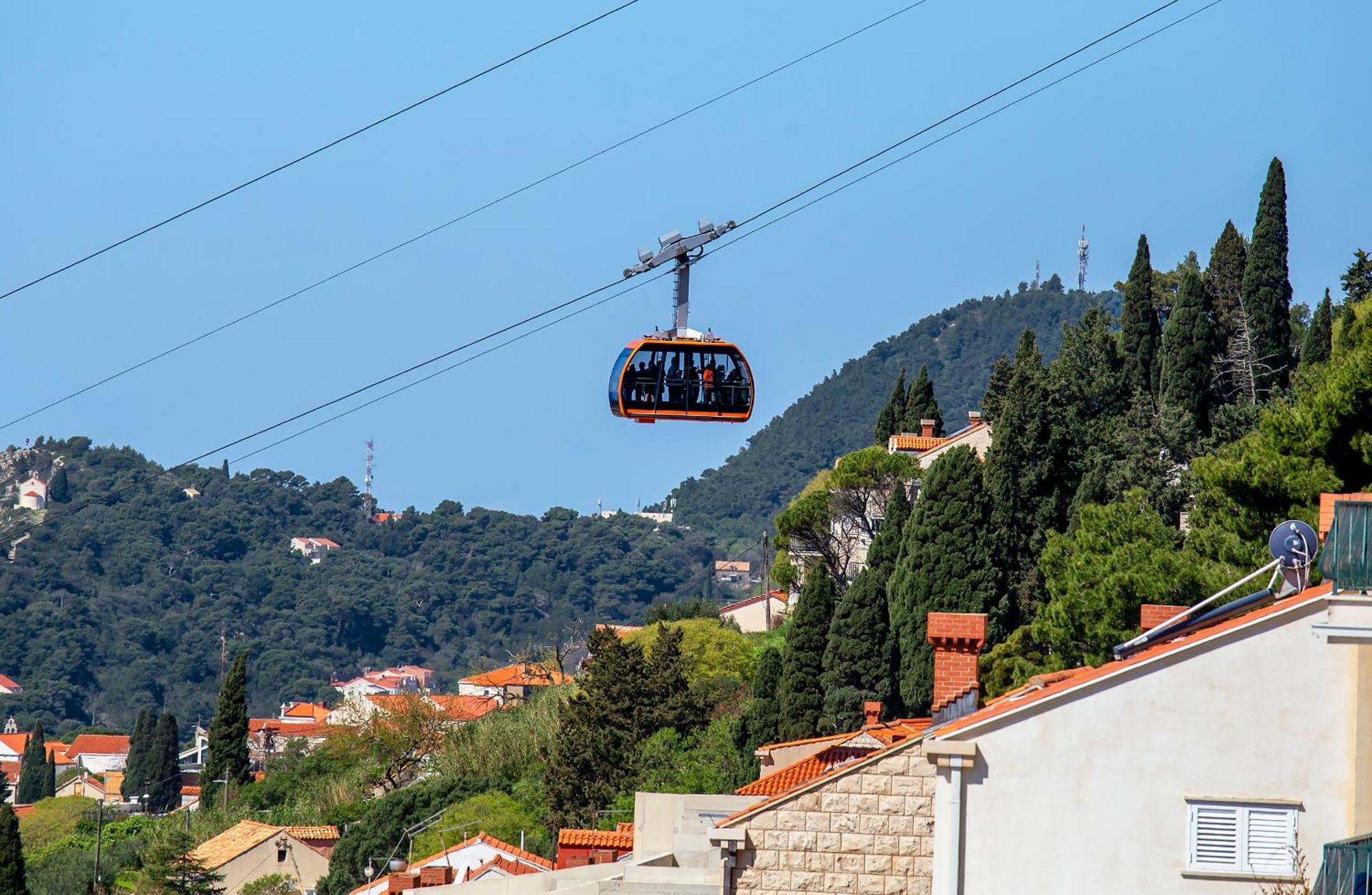 Ploce *