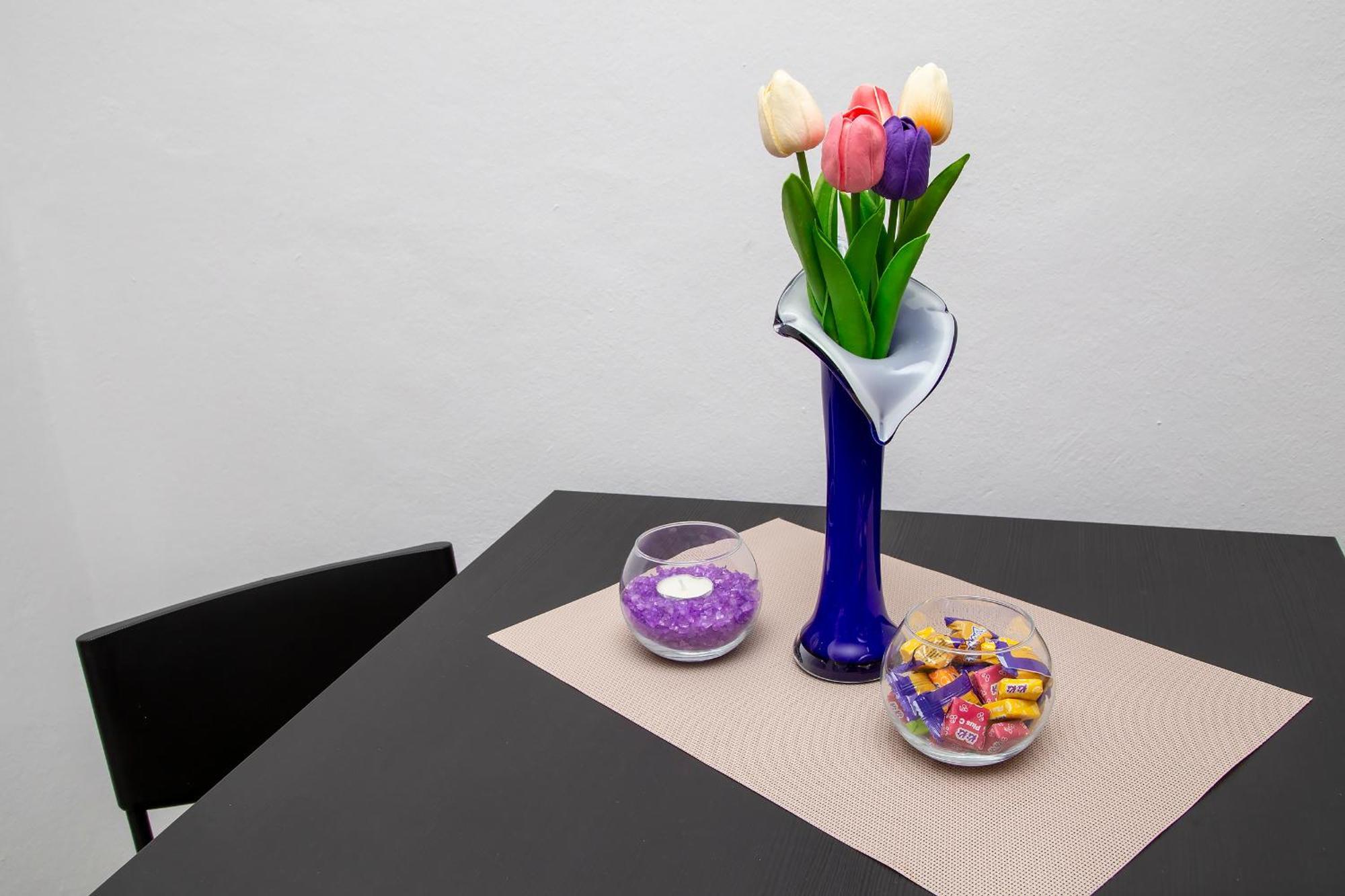 Apartment Ploce *
